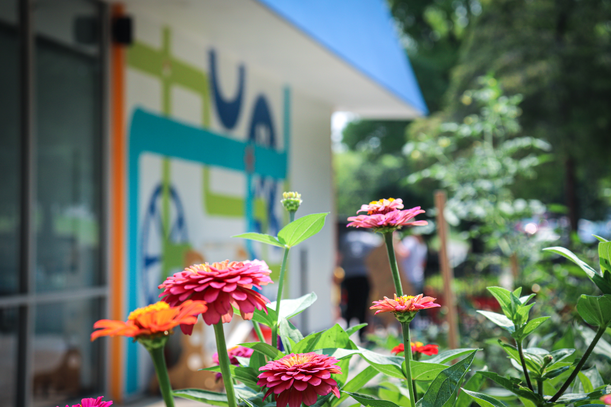 Outside view of the Muse building with flowers in focus.